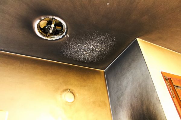 Cost of Smoke Damage Remediation in Delaware